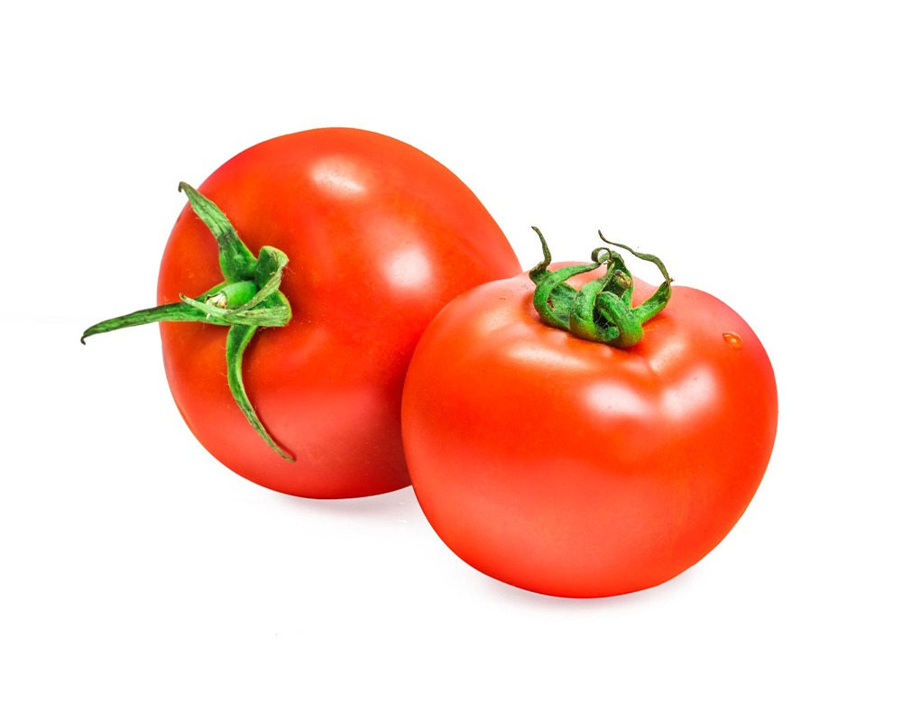 Fresh Tomatoes Exporter